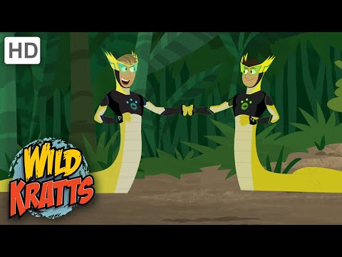 Wild Kratts | To Touch a Hummingbird | Full Episode | Season 2