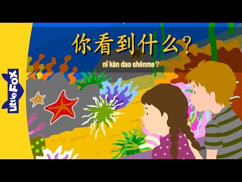 看到什麼