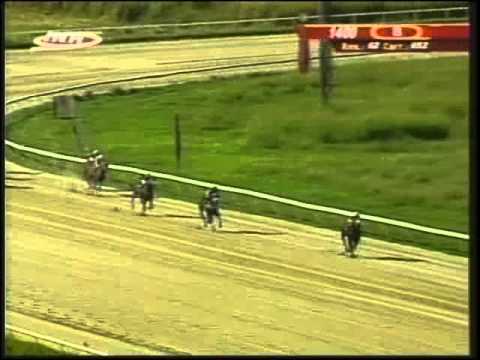 Resumen Viernes, 05 de Diciembre de 2014  - Valencia