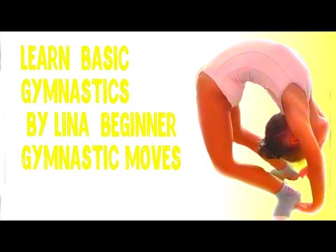 WARM UP at HOME basic moves  for body stretch | Daily Routine for Flexibility | Gymnastics with Lina 