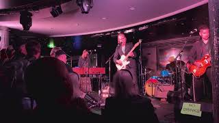 Chuck Prophet -- Run Primo Run