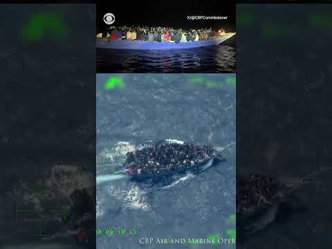 Overcrowded boat from Haiti with 240 migrants aboard stopped by U.S. authorities #shorts