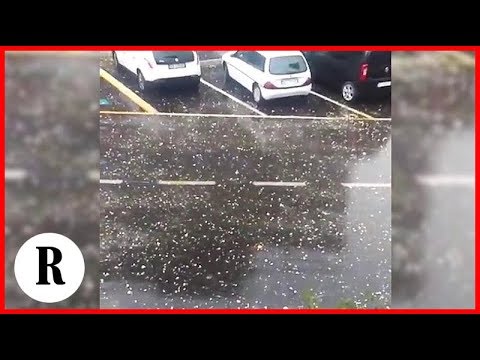 Pescara, chicchi di grandine come arance: raffica devastante sulle auto