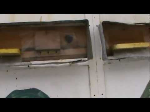 1. Iernatul in noul model de Stup Bio  1/4