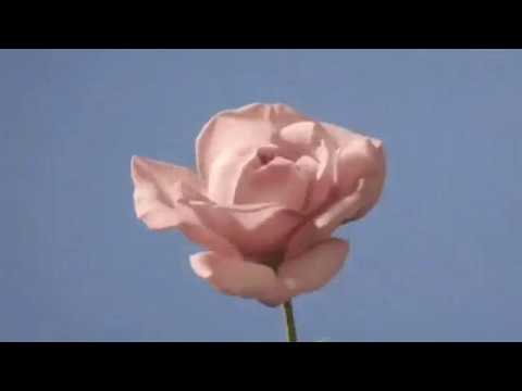 [FREE] Amine x Smino x Tobi Lou Type Beat - Matrix