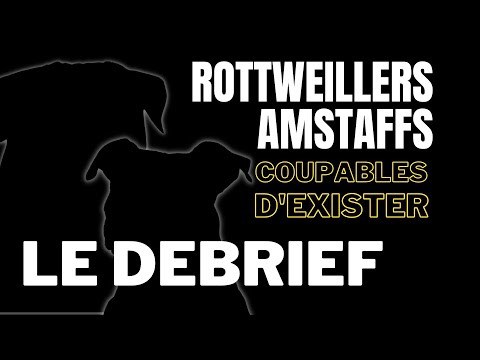 ROTT. STAFF. - LE DEBRIEF