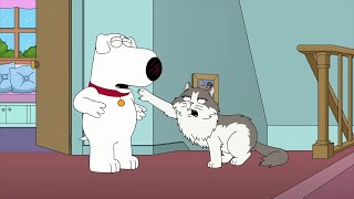 Download lagu Family Guy - Pouncy can talk mp3