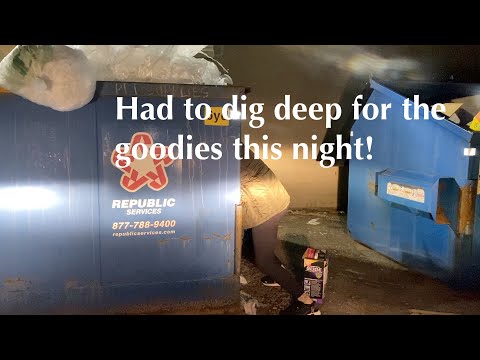 DUMPSTER DIVIN// HAB EIN PAAR HEIMDEKORATIONEN UND LIMONADE ERWORBEN! & LASST UNS ETWAS SPENDEN F...