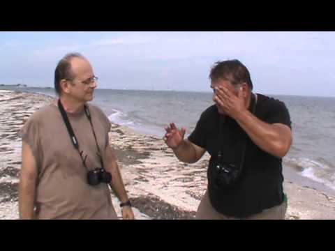 Fort De Soto State Park Video 5