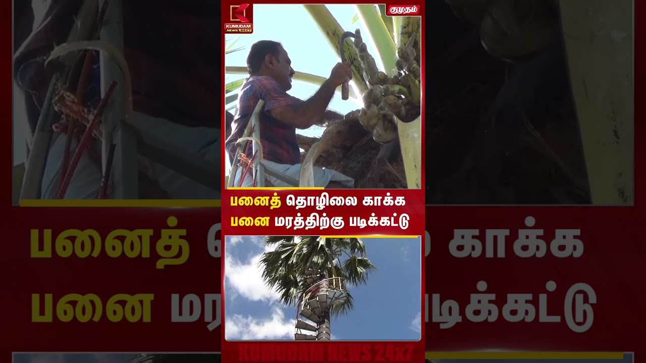 பனைத் தொழிலை காக்க பனை மரத்திற்கு படிக்கட்டு | Kumudam News