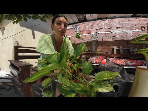 THINGS DIDNT GO AS EXPECTED