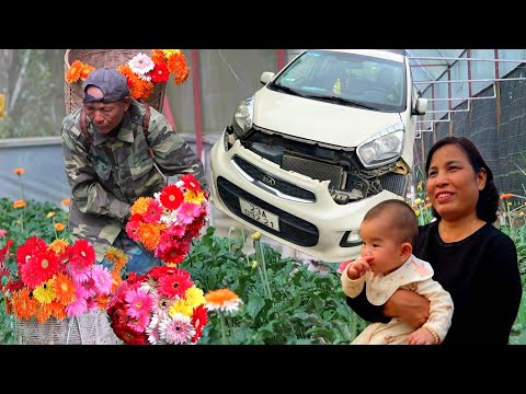 A Beautiful Flower Garden Harvested in Season | Mrs. Ha’s Car Is Finally Fixed / SUNG A Pao