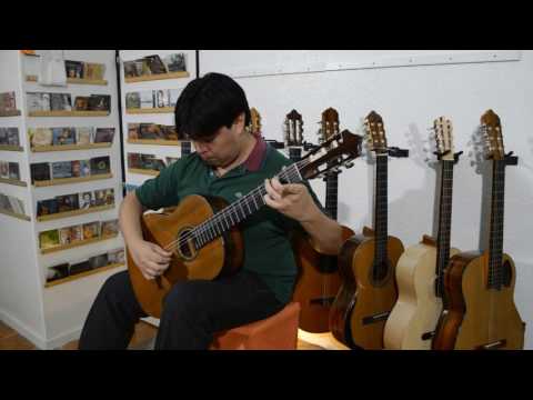 A flor de llanto - Abel Fleury