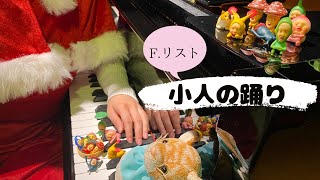 Download lagu 小人の踊り ～F.リスト：2つの演奏会用練習曲より～ mp3
