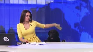 5 ФЕЙЛОВ С ЖИВОТНЫМИ В ПРЯМОМ ЭФИРЕ