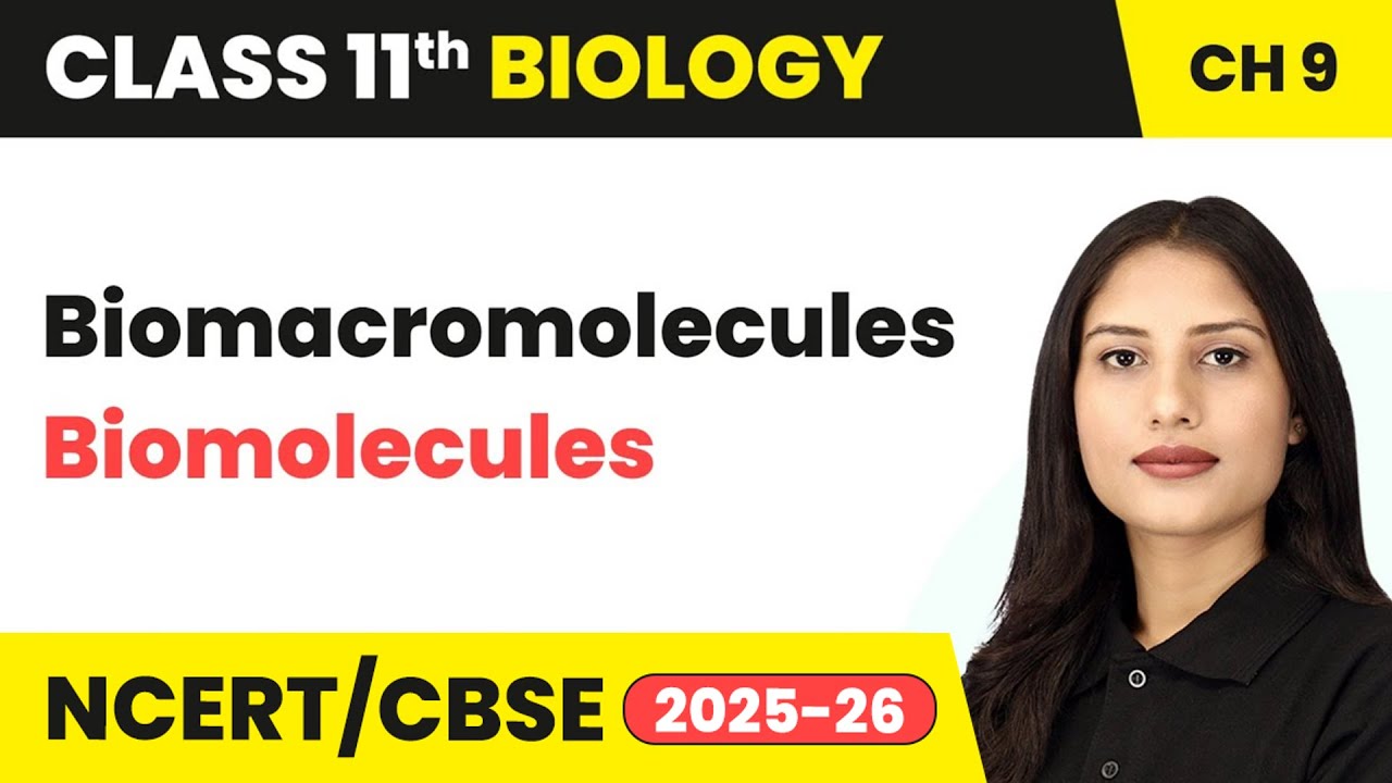 Biomacromolecules - Biomolecules | Class 11 Biology Chapter 9 | CBSE 2024-25