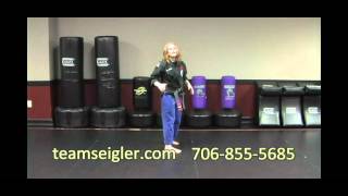 Seigler's Karate Center - Beginner Techniques Tutorial - January 2011
