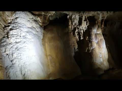 NQF4dSolhu0.VIDEOONLINE