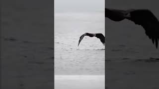 Queen - Who Wants To Live Forever