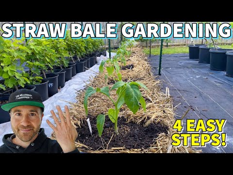 How To Plant A STRAW BALE GARDEN In 4 Easy Steps
