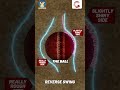 What Is Reverse Swing Cricket Com Explainers