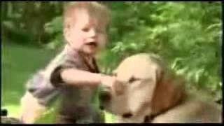 Milton nascimento - Amigo é coisa pra se guardar