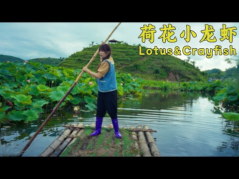 Lotus in Bloom, Fried Fish at Its Best, and Fragrant Spicy Crayfish — A Family Feast to Remember