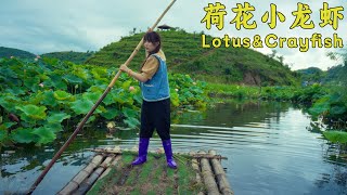 荷花正开，炸鱼最香，酱香小龙虾，香得一家人都夸【叫我阿霞Channel】