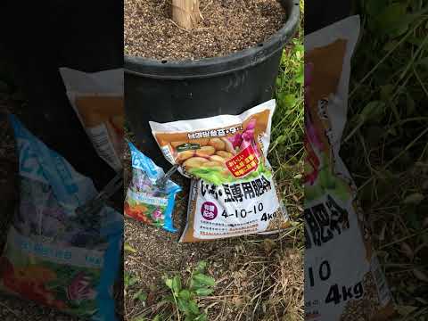 自家製の天然肥料が必要なタンパク質カルシウムを追加提供します