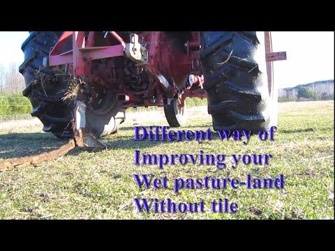 How to Dry up a Wet Field Without Tile