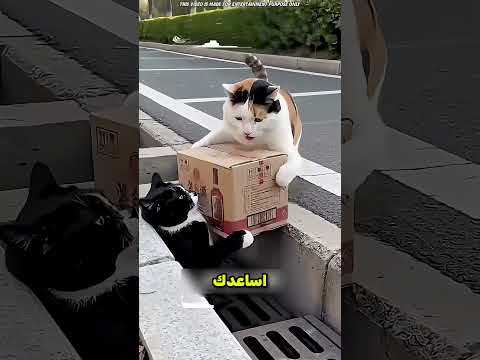 شربت بول الكلب | قصص روعة 😲 #شورت