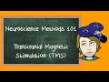Transcranial Magnetic Stimulation TMS Explained Neuroscience Methods 101