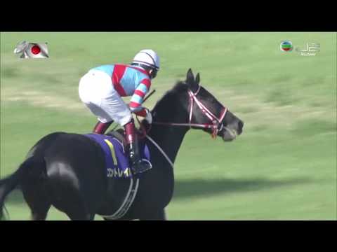 2020 皐月賞 鐵鳥翱天 Contrail コントレイル 福永祐一