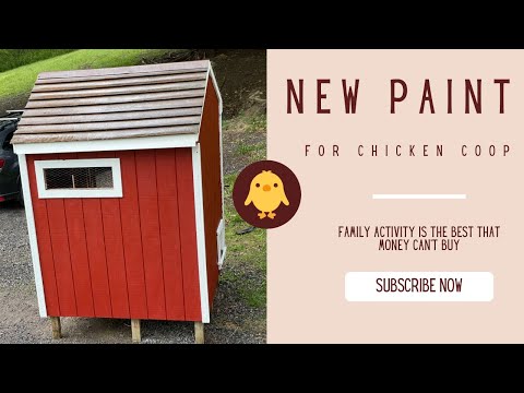#84 New Paint For Chicken Coop