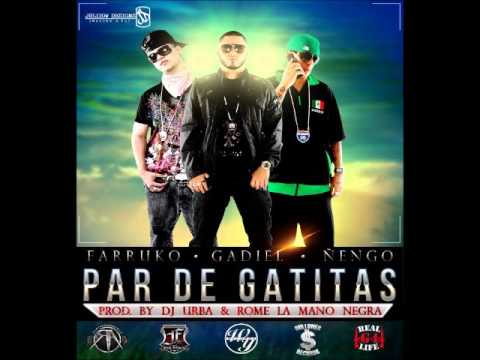 Gadiel Ft. Farruko y Ñengo Flow - Par De Gatitas Download Link