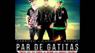 Gadiel Ft. Farruko y Ñengo Flow - Par De Gatitas Download Link