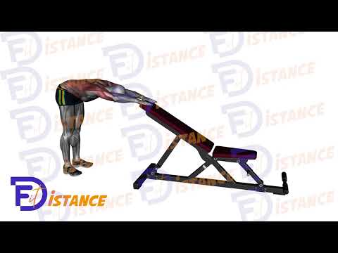 Exercice Étirement des dorsaux avec prise en appui contre le banc