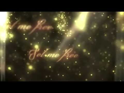 Stevie Nicks - 24 Karat Gold (Official Lyric Video)