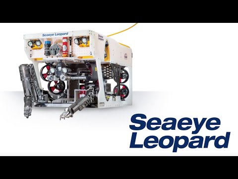 Seaeye Leopard