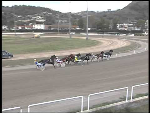 Trotto 16/11/2014 - 4° corsa