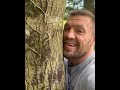 Conor McGregor Hugging Trees Before Smashing Skulls In