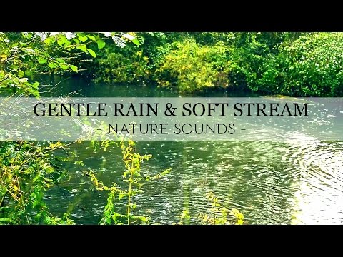 Gentle Rain & Soft Stream Sound on the Forest - Sleep Nature Sounds