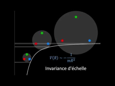 La physique d'Efimov