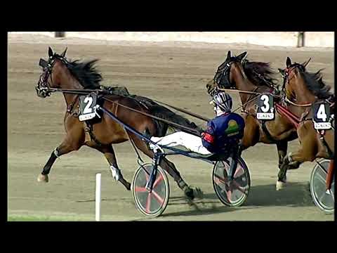 Napoli Trotto 02/05/2021 - 7ª corsa