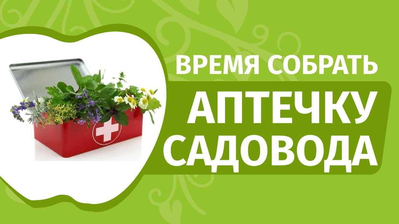 Зачем нужна садовая аптечка? Биопрепараты для растений от вредителей и болезней!