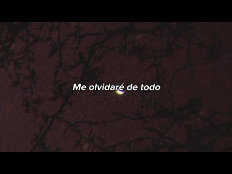 Suisside & Palmsveneta - Heart Throb (sub.español)