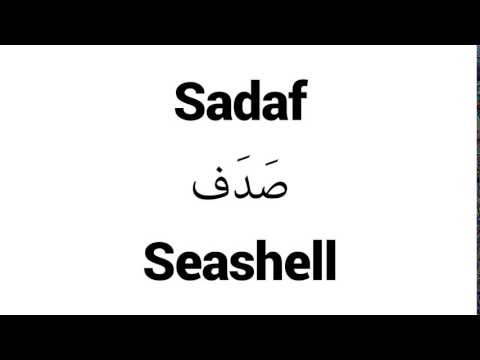 How to Pronounce Sadaf! - Middle Eastern Names
