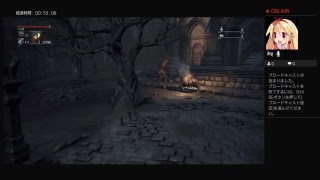 blood borne下手RTA練習