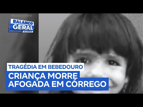 Menina de 2 anos morre afogada em córrego de Bebedouro (SP)