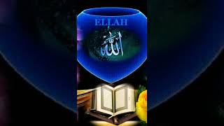 Download lagu woh mera nabi ha mansoor #ytshorts #islamicvideo #shortsfeed mp3